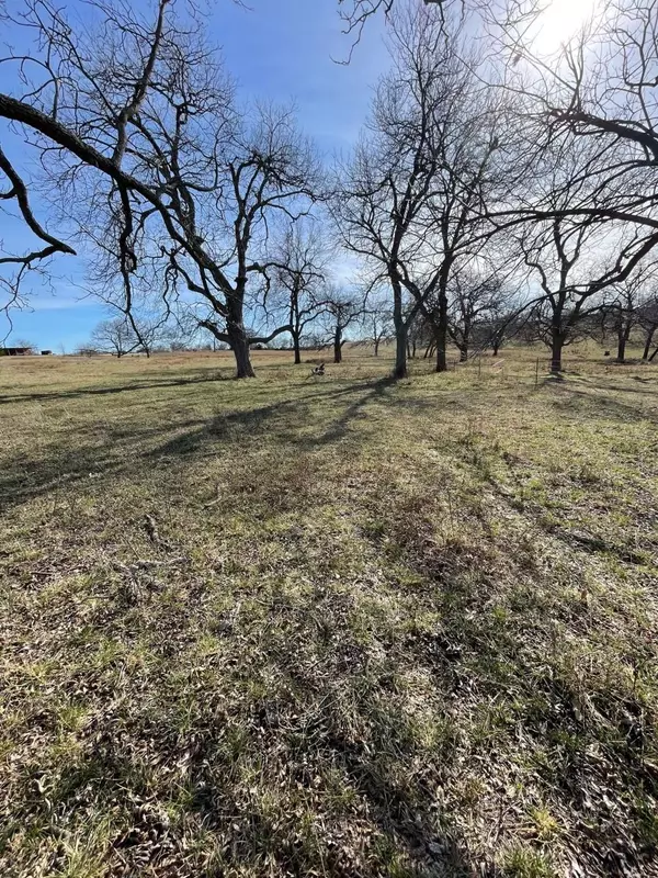 Whitewright, TX 75491,Lot 7 Kentucky Town Road