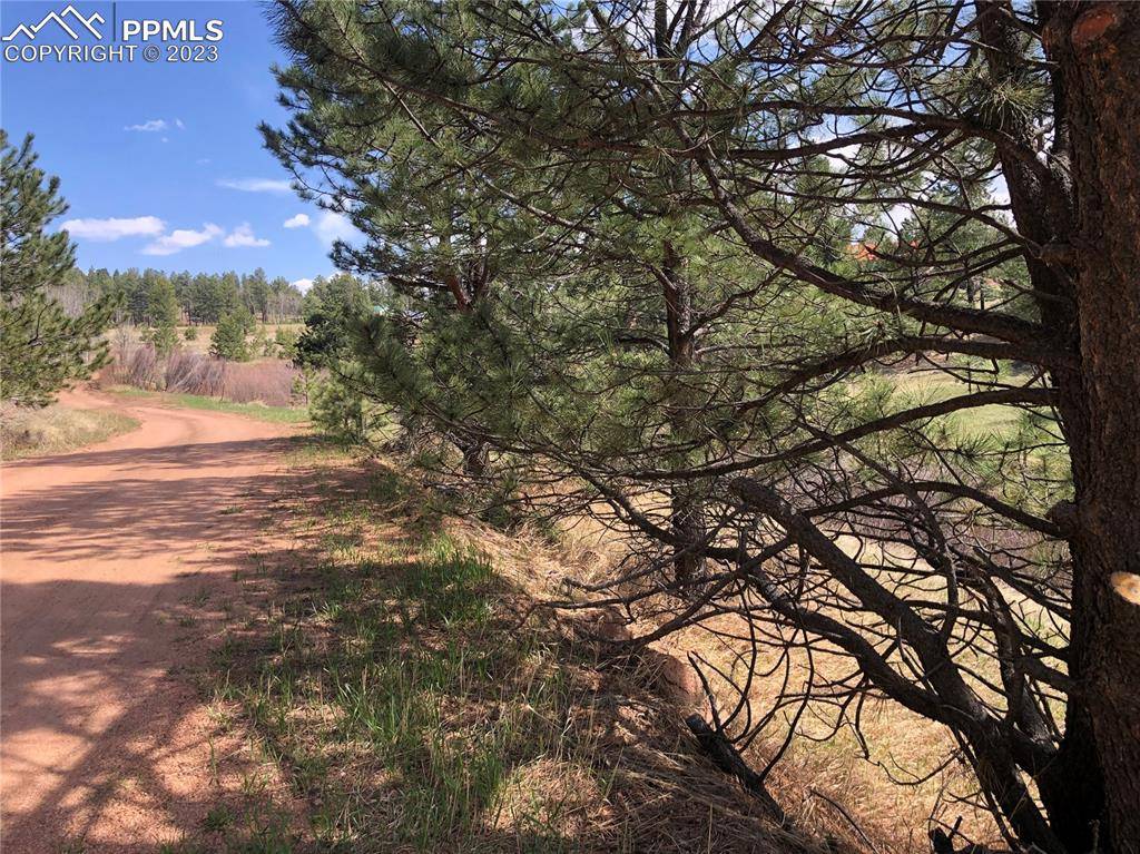 Florissant, CO 80816,242 Arrowhead RD