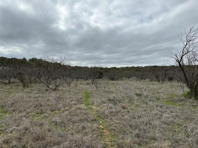 8.05 acres Fm 3021, Brownwood, TX 76801