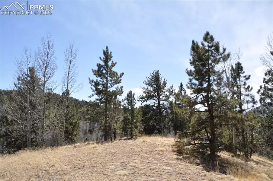 571 Vivenda RD, Cripple Creek, CO 80813