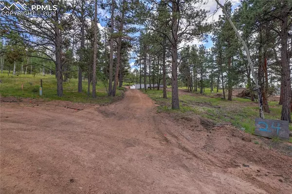 Florissant, CO 80816,24 Big Horn CIR