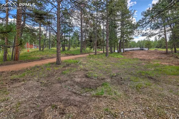 Florissant, CO 80816,24 Big Horn CIR