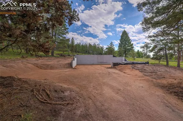 Florissant, CO 80816,24 Big Horn CIR