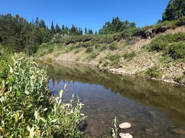 Rural Foothills County, AB T0L 1K0,322080 288 ST W