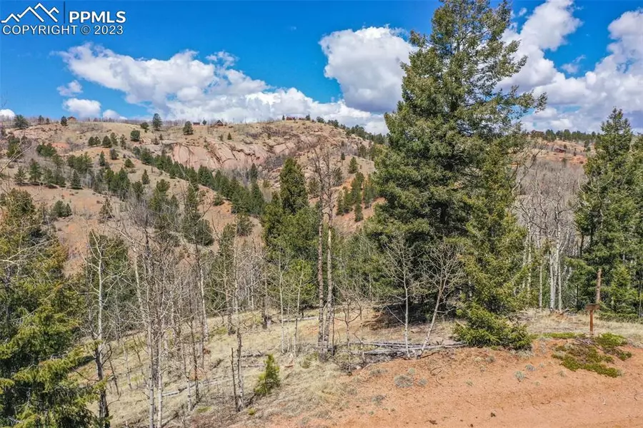 796 Little Topsey DR, Cripple Creek, CO 80813