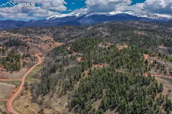 Cripple Creek, CO 80813,796 Little Topsey DR