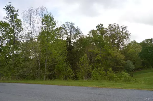 Forest, VA 24551,0 Cedar Rock DR #Lot 28