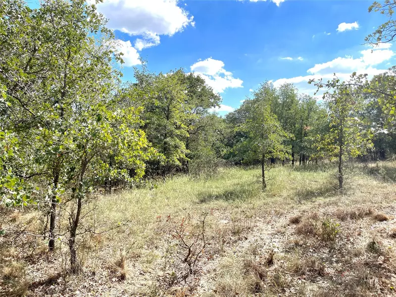 Lot 31 Galway Road, Poolville, TX 76487