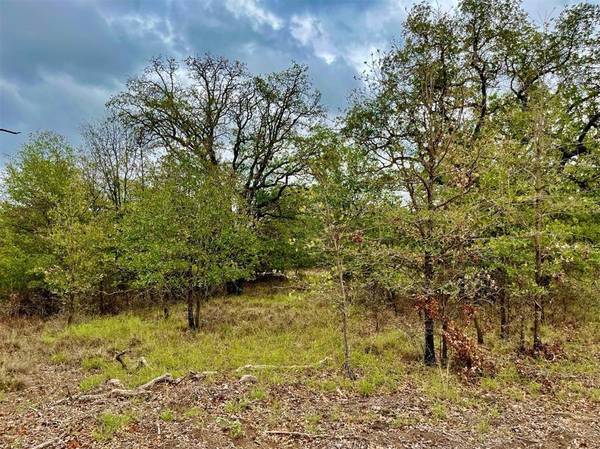 Lot 30 Galway Road, Poolville, TX 76487