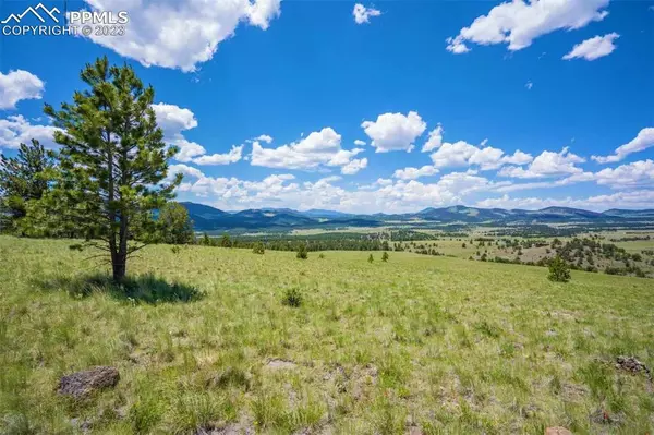 Guffey, CO 80820,1746 Castle Mountain PASS