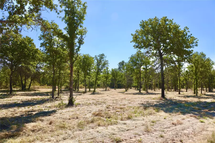 20+/- Acres Hidden Ranch Ln, Perrin, TX 76486