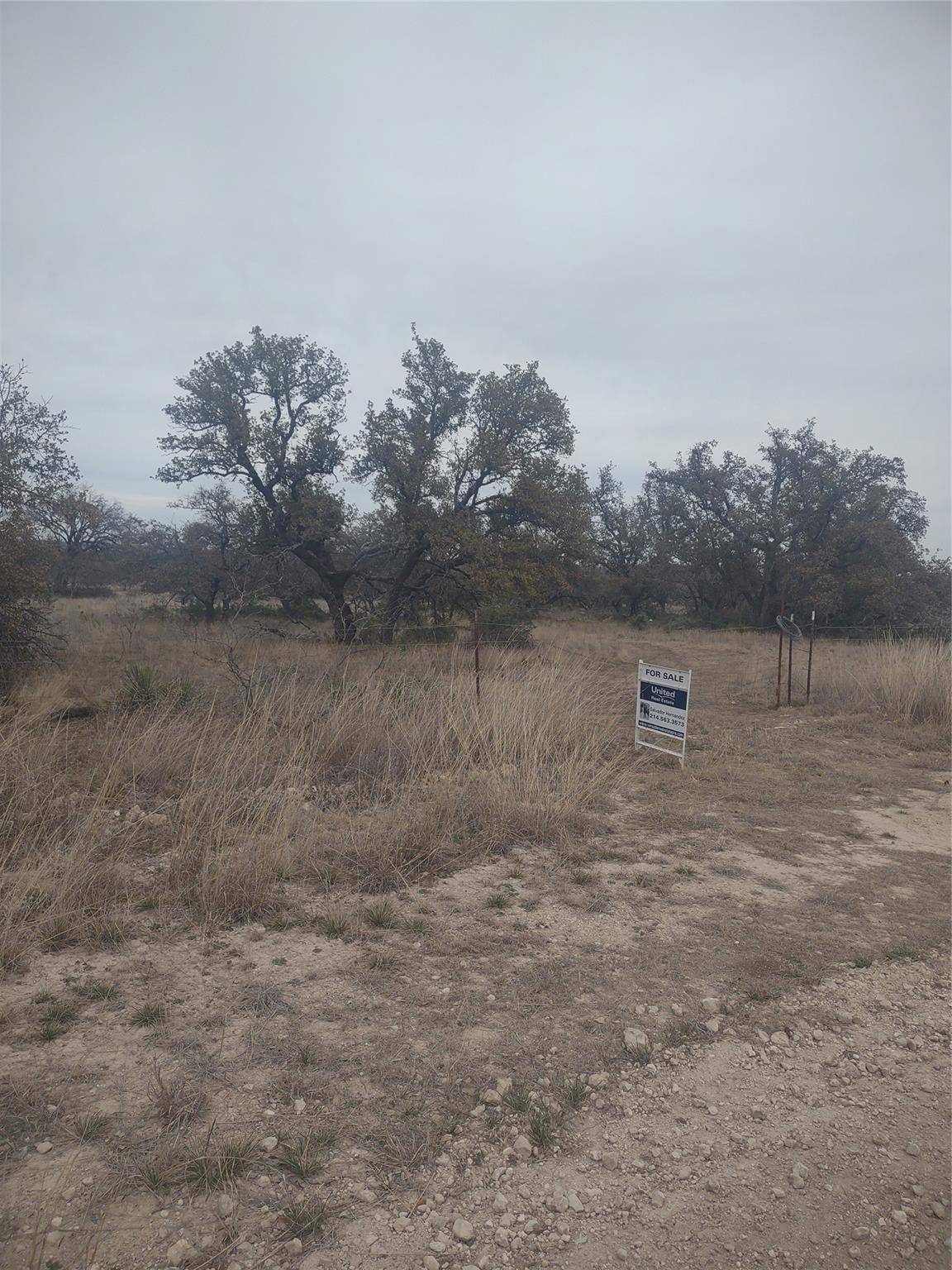TBD Runge Ranch Road,  Menard,  TX 76859