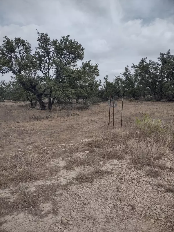 Menard, TX 76859,TBD Runge Ranch Road