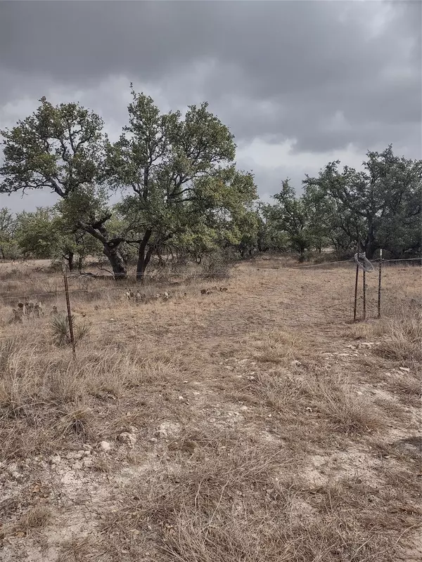 Menard, TX 76859,TBD Runge Ranch Road