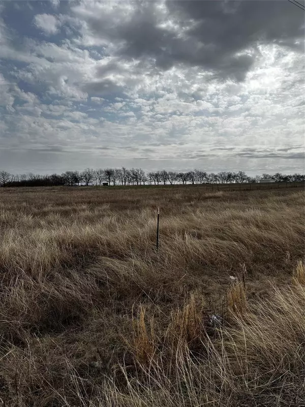 Rhome, TX 76078,Lot 4 Fm 407