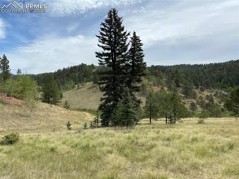 323 Gold King DR, Cripple Creek, CO 80813