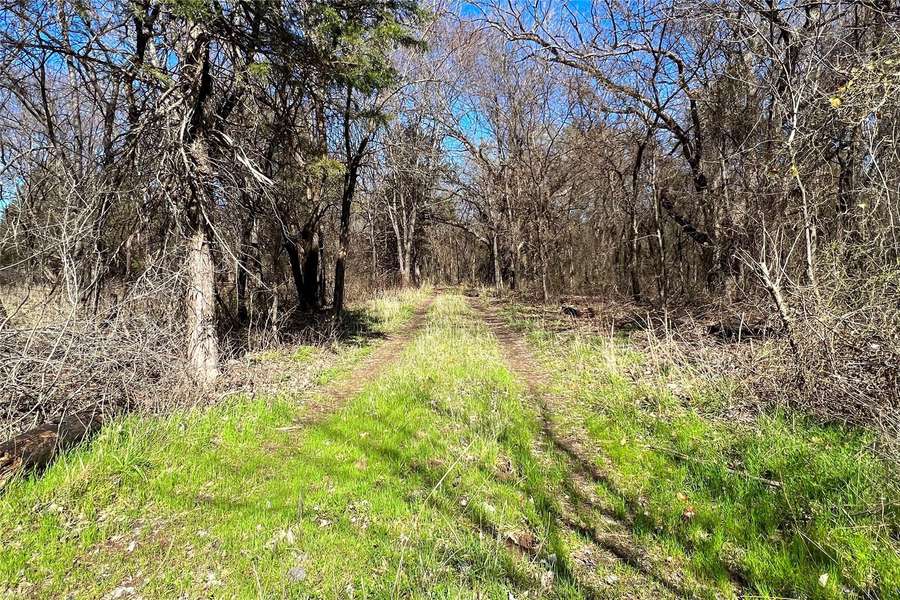 TBD2 County Road 103, Whitesboro, TX 76273