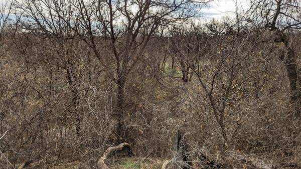 Abilene, TX 79601,15+/- Ac (Tr 1) FM 1082