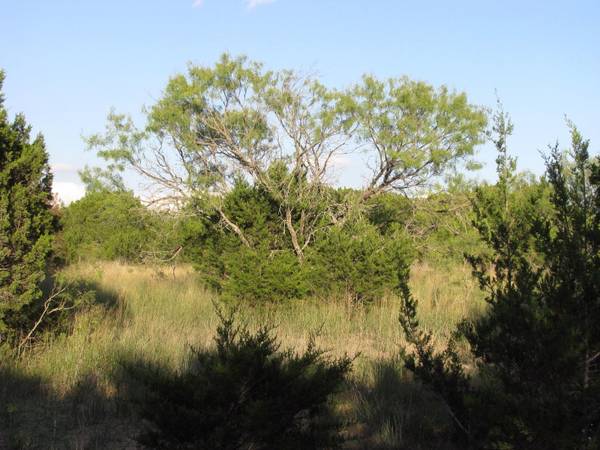 TBD County Road 3831 W/S N,  Lampasas,  TX 76550