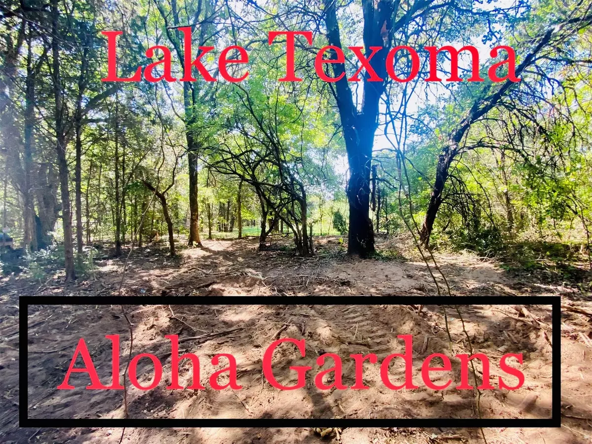 Sadler, TX 76264,Lot 5 Pua Loko Lane