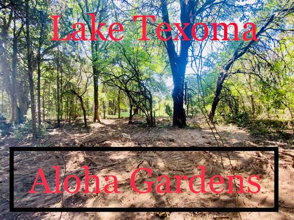 Lot 5 Pua Loko Lane, Sadler, TX 76264