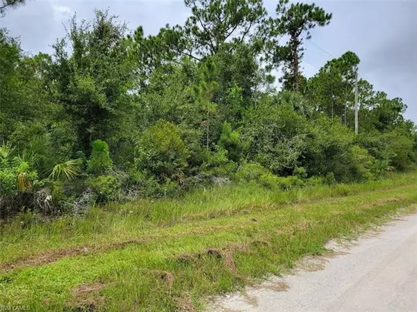 Clewiston, FL 33440,Lot #3 Tampa AVE