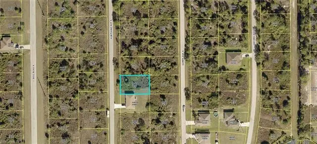 Lehigh Acres, FL 33974,925 Portland AVE S