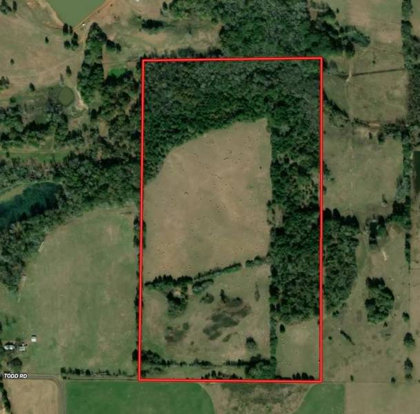 TBD CR 2168, Troup, TX 75789