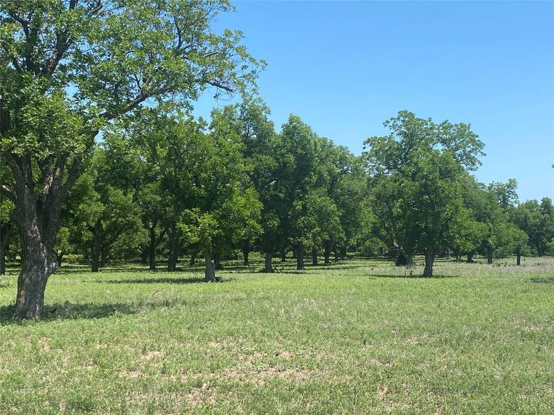 0 TBD CR 348, Gorman, TX 76454