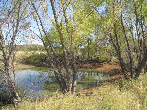 22 ac Willow Point Rd, Jacksboro, TX 76458