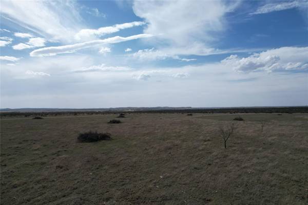 10.02 Ac (Tr 9) Anderson Rd, Wingate, TX 79566