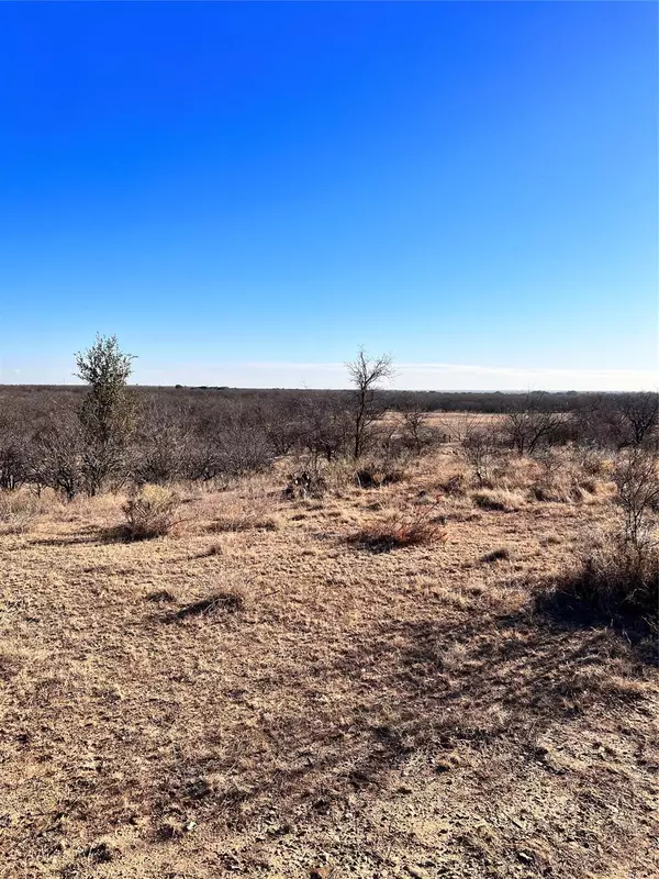 Albany, TX 76430,TBD CR 119 #6