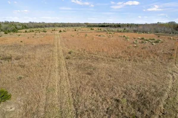 Detroit, TX 75436,TBD FM 411 (76 Acres)