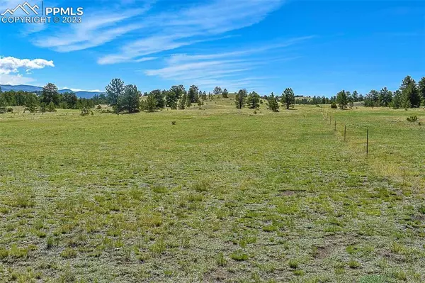 Guffey, CO 80820,Tract 91 County Road 102