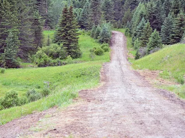 Rural Foothills County, AB T0L 1K0,Quarter section Parkins Road