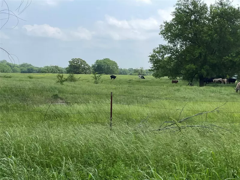 25 Acres County 1153, Cumby, TX 75433