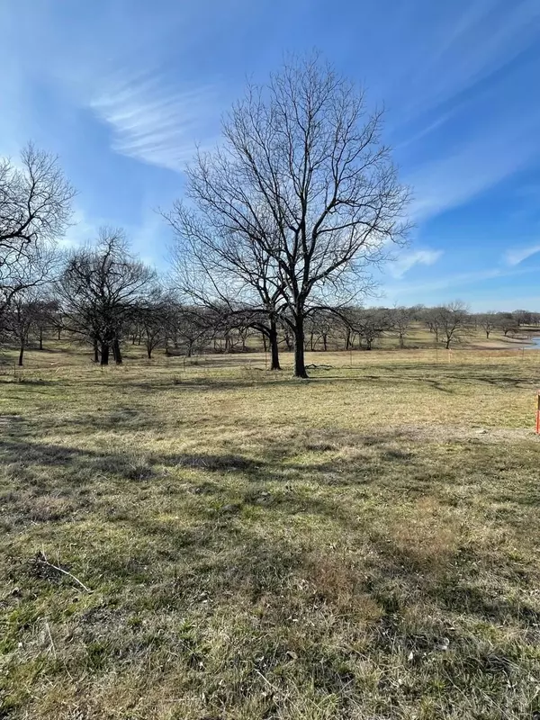 Whitewright, TX 75491,Lot 6 Kentucky Town Road