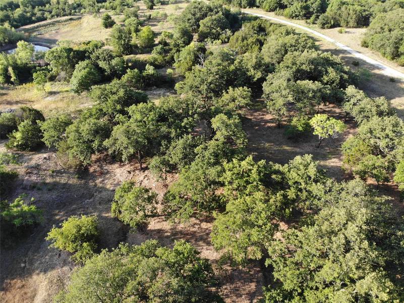 Tract 37 CR 493, Desdemona, TX 76445