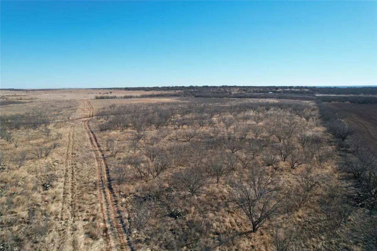 Abilene, TX 79601,8.38 Ac (West) CR 356