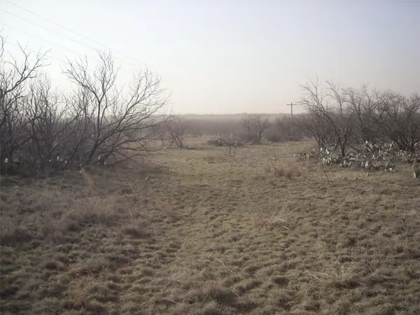 Abilene, TX 79601,8.38 Ac (West) CR 356