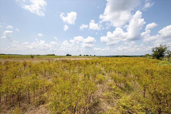 Lot 2 Brazos Mountain Ranch, Mineral Wells, TX 76067