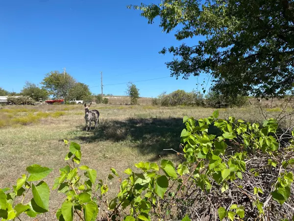 Willow Park, TX 76087,TBD Scenic Trail