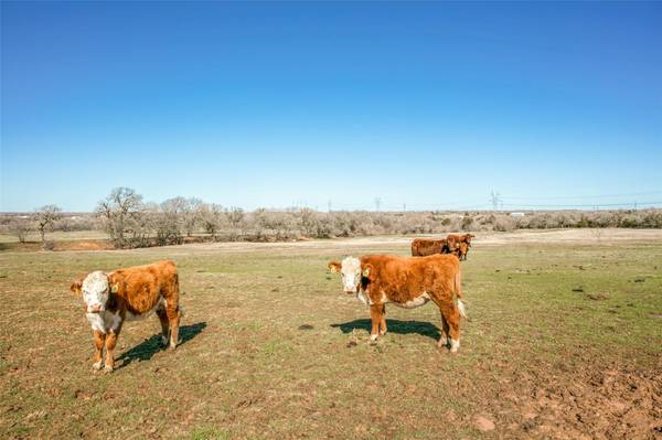 TBD County Road 1271, Alvord, TX 76225