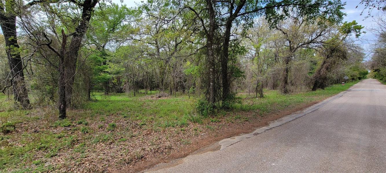 TBD County Road 1204, Rio Vista, TX 76093