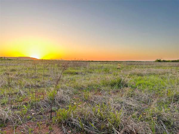 TBD COUNTY ROAD 250, Tuscola, TX 79562