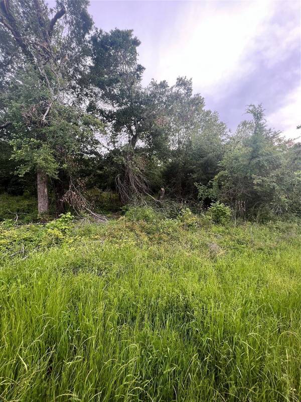 TBD Lot 55 County Road 1260, Fairfield, TX 75840