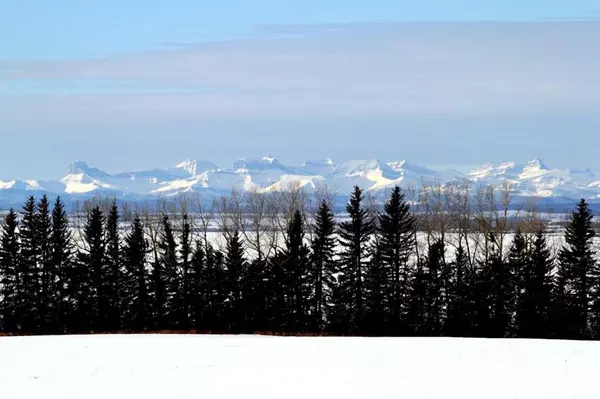 Rural Mountain View County, AB T0M 0N0,Township Road 310