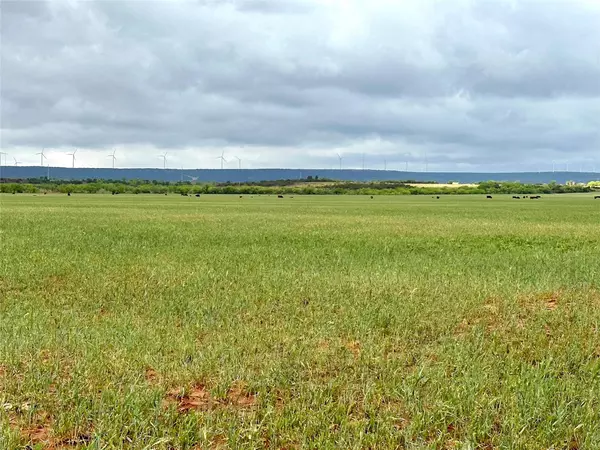 Trent, TX 79561,TBD County Rd 365