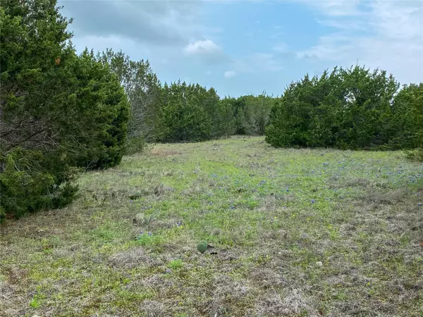 Cleburne, TX 76033,0000 County Road 1117