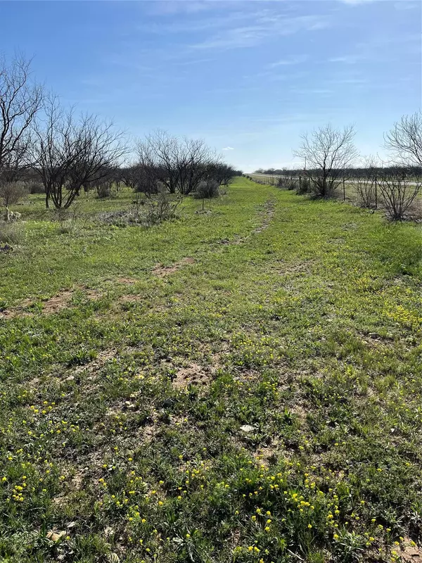 Moran, TX 76464,TBD Fm 576 W